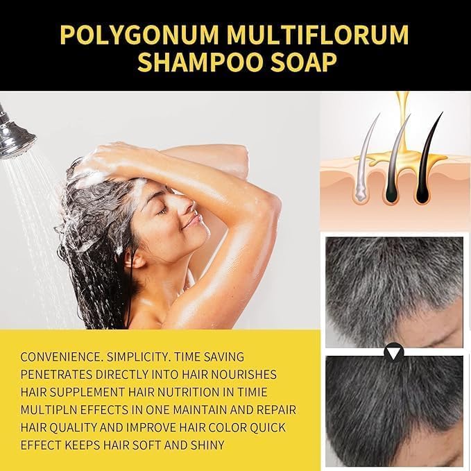 Natural Black Hair 3-IN-1 Dye shampoo